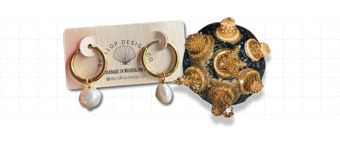 Ocean Lover Pearl Earrings (White Pearl) + Adopt a Coral Set